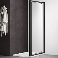 Душевая дверь Aquatek AQ ARI PI 10020BL 100 см, прозрачное стекло, профиль черный